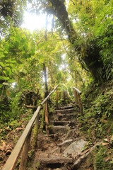 Stairs and ramp going up indicating the path in a national Park in Central America