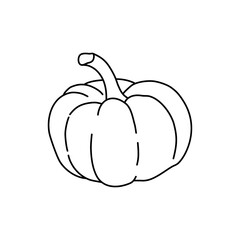 Hand drawn pumpkin in black line, simple icon in doodle style. Vector illustration on isolated white background. 