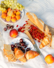 French picnic. picnic composition in nature. summer berries and fruits, baguette.