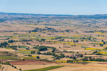 Fototapeta na wymiar High angle view of farmland with fields for sunflower cultivation. Summer time, La Bureba, Burgos