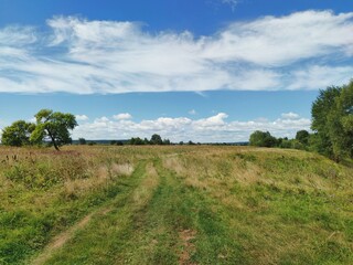 Fototapeta premium blue sky with beautiful clouds over green field with trees in a sunny landscape
