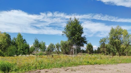 sunny landscape with trees on the background of a beautiful blue sky