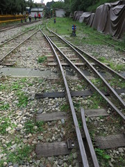 the rail with different plants and ballast in Alishan background for traveling