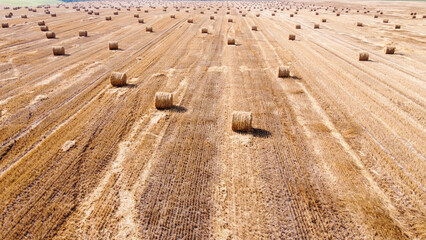 Fototapeta na wymiar Aerial view at a wide agricultural field with many bales of straw on it.
