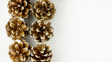 Pine cones on white background. Top view