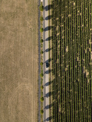 Aerial view of vineyards green agricultural fields from drone summer rural landscape nature village countryside. Car on road. Trees grow along the road. Shadows from trees. Mainz Germany