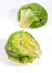 Iceberg Salad, lactuca sativa against White Background