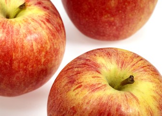 Royal Gala Apple, malus domestica