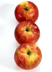 Royal Gala Apple, malus domestica