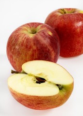 Royal Gala Apple, malus domestica