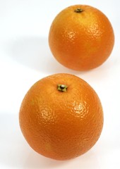 Orange, citrus sinensis, Fruits against White Background