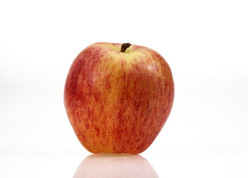 Starling Apple, malus domestica, Fruit against White Background