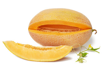 ripe juicy orange melon and cut piece with seeds, green shoot with leaves and flowers