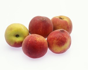 Peachs, persica vulgaris, Fruits against White Background