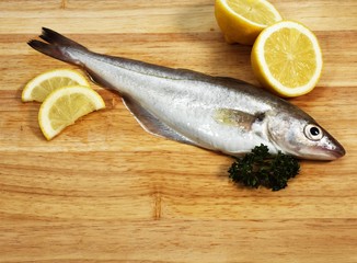Whiting, merlangius merlangus, Fresh Fish with Parsley and Lemon