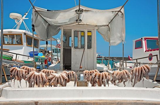 The boat in the port after the successful fishing with drying octopuses