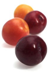 Red and Yellow Plums, Fruits against White Background