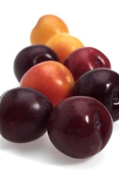 Red and Yellow Plums, Fruits against White Background
