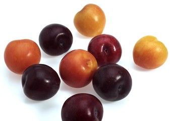Red and Yellow Plums, Fruits against White Background