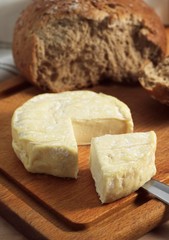 French Cheese Called Saint Marcelin, Cheese produced from Cow's Milk