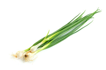 leaf spring onion isolated on white background ,Green leaves pattern