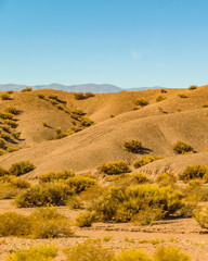 Obraz premium Countryside Landscape, San Juan Province, Argentina