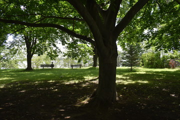 
Park walk, Quebec