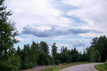 dirt road in the countryside with trees along the edges and a beautiful green meadow