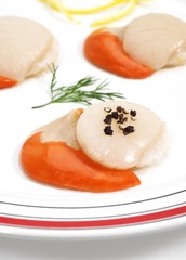 Fresh Scallops with Dill, pecten maximus against White Background