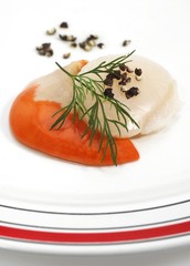 Fresh Scallops with Dill, pecten maximus against White Background