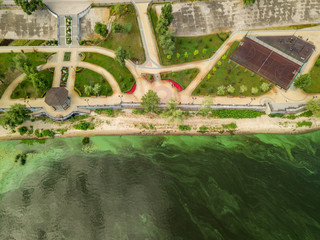 River bank, aerial drone view.