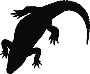 silhouette of a alligator