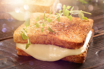 Fresh sandwich with cheese and herbs with empty space for text.