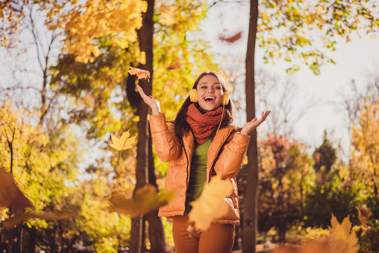 Photo of pretty charming lady beaming smiling throwing yellowed falling leaves trees around quiet corner city park wear headphones scarf green turtleneck orange windbreaker pants outdoors