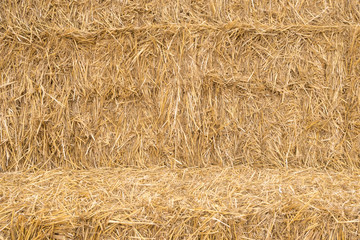 Straw, straw texture background with base, vintage style for design. Agricultural background