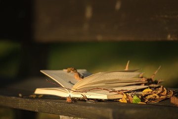 Open book on a wooden bench in autumn park. In the peace lies the strength