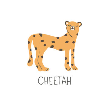 Hand Drawn African cheetah. Cute doodle animal card. Scandinavian colorful childish illustration.