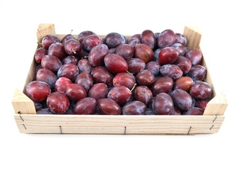 Freshly picked wild plums in a wooden crate on white background.	