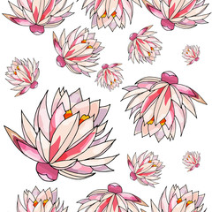 Lotus seamless pattern flower. Soft and pastel color. Coral lotos lotus on White background. 