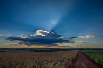 sunrise over the field