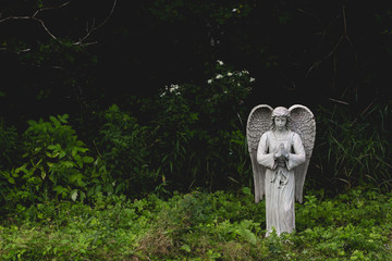 Angel statue in prayer amongst green foliage