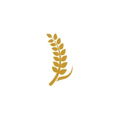 Wheat logo template vector icon