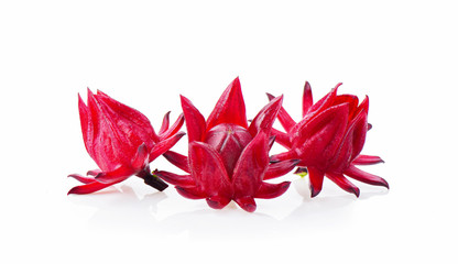 Roselle on a white background