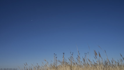 파란 하늘아래 솟대