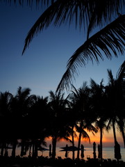 南国リゾート　夕陽　夕焼け