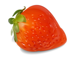 イチゴ/甘酸っぱい果物/背景は透明