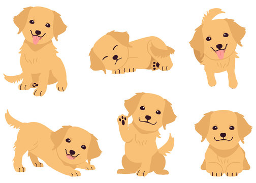 The collection of golden retriever in many action. Graphic resource about golden retriever for graphic, content, etc. 