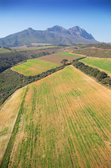 Cape Town, Western Cape / South Africa - 07/24/2020: Aerial photo of vineyards in Stellenbosch