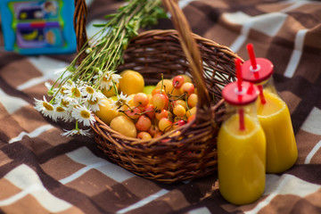 fruit basket on a picnic in green grass