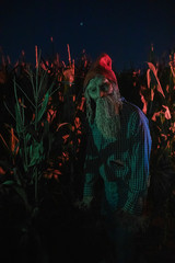 Fototapeta na wymiar Walking dead zombie stands in cornfield with red hat.